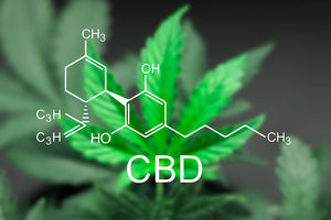 CBD Recieves World Anti-Doping Agency Approval